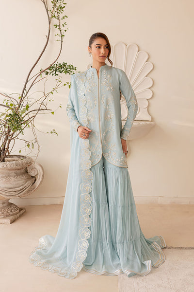 Ice Blue Embellished Silk Outfit - Vanya