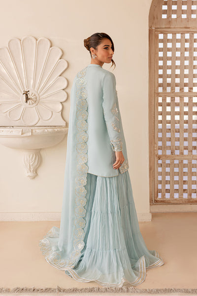 Ice Blue Embellished Silk Outfit - Vanya