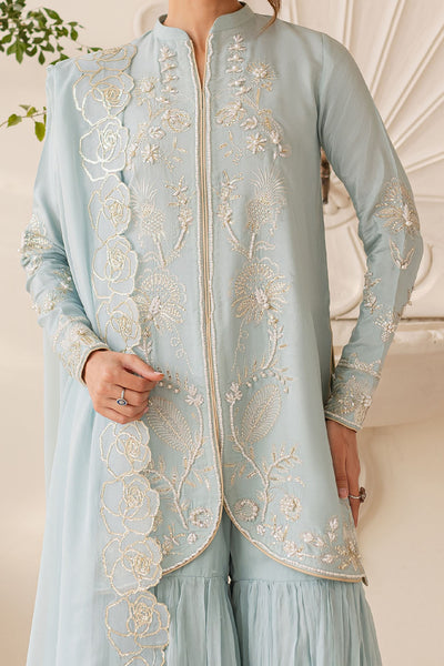Ice Blue Embellished Silk Outfit - Vanya