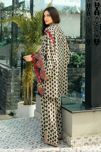Printed Lawn Silk Co-ord Set - Vanya